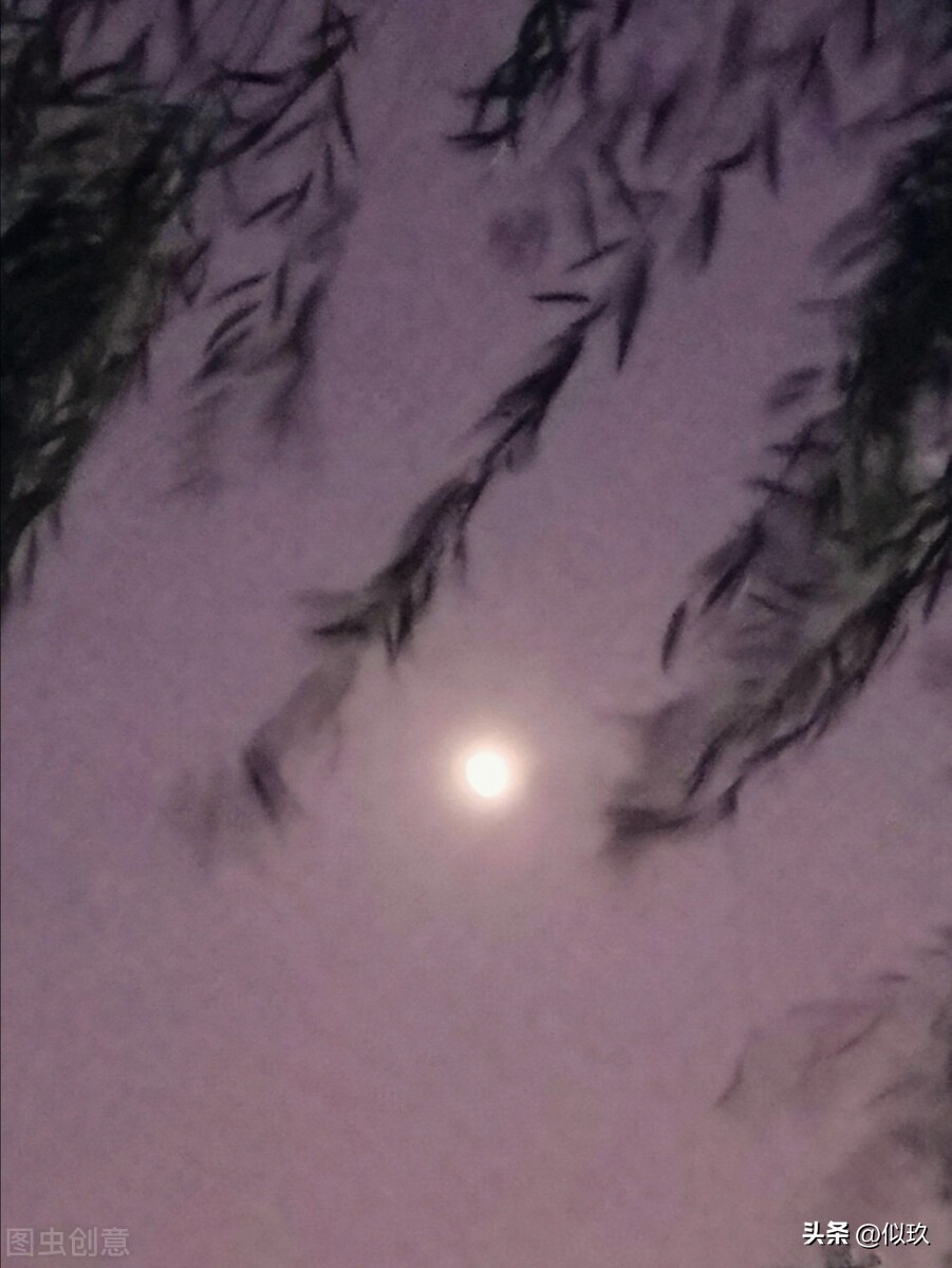 《菉竹山房》——我携新婚妻子去探亲，却遭深夜二姑姑*窥偷**