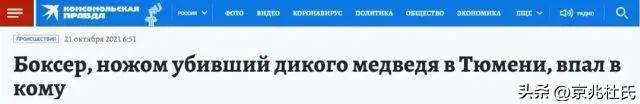 俄拳击手遇棕熊攻击,俄罗斯拳击冠军被熊袭击