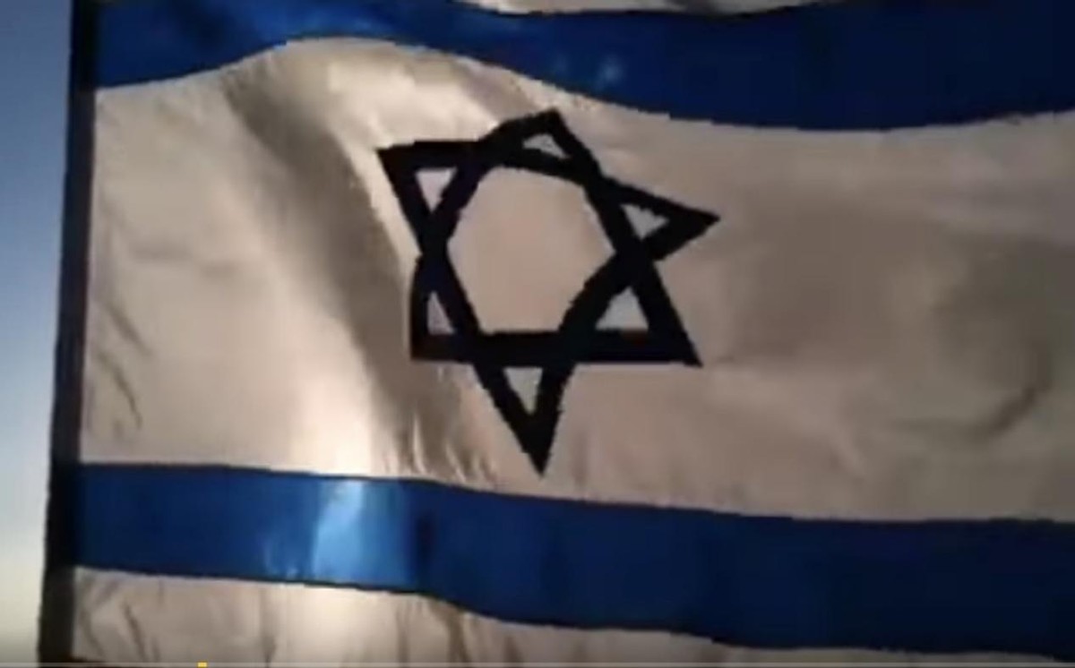 果园行动视频,果园行动感想