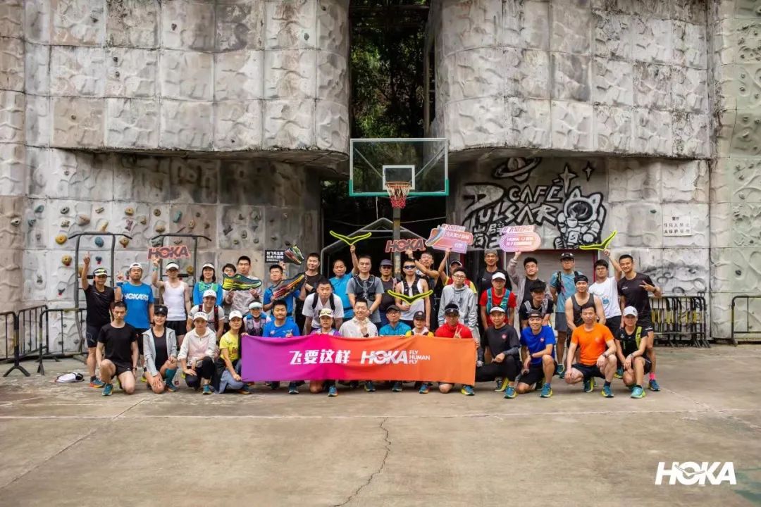 从阿尔卑斯山脉滑雪下来,从阿尔卑斯山飞下去