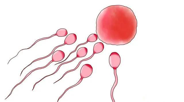 精子带血为细菌性前列腺炎吗,精子带血是不是梅毒