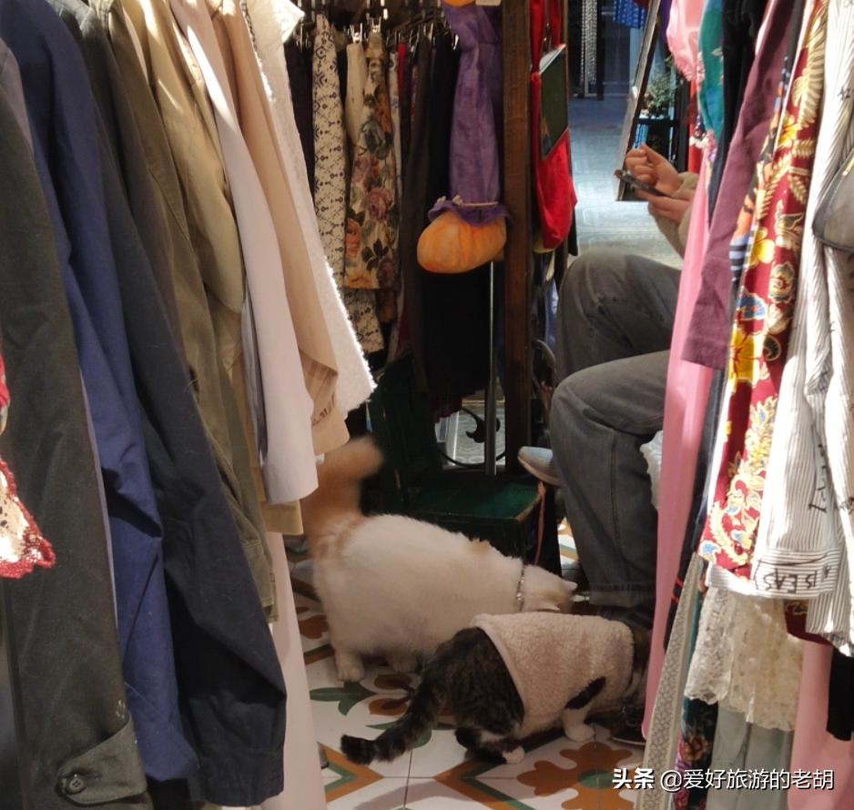 长沙市内网红老街,长沙的网红一条街