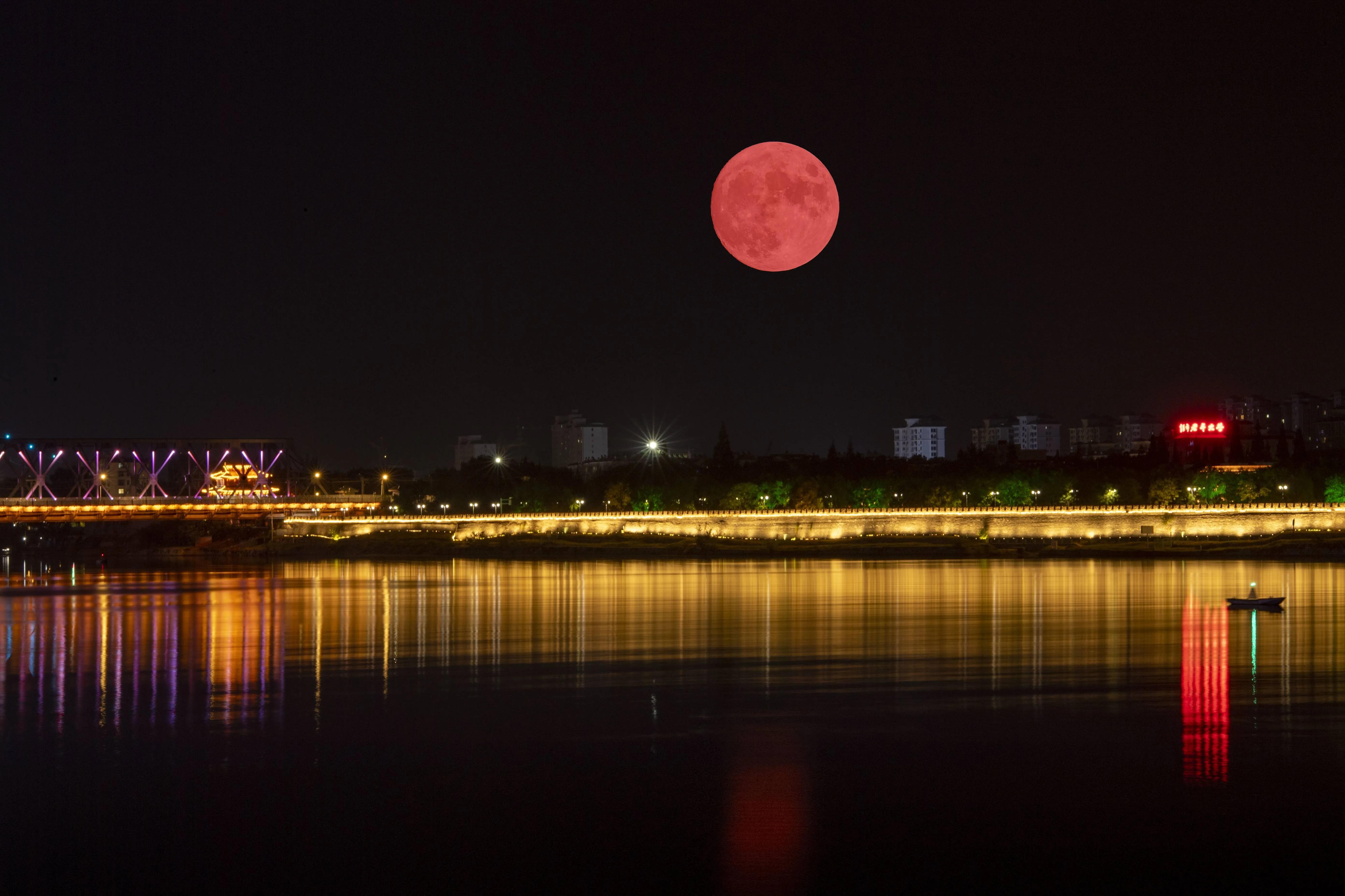 朱昌茂十首经典诗词,朱昌茂的诗句