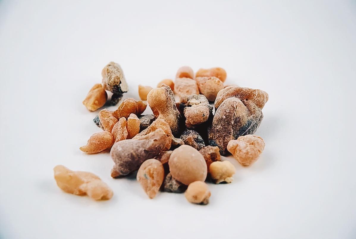 亚洲预选赛日本对阿曼,世界杯亚洲沙特阿曼