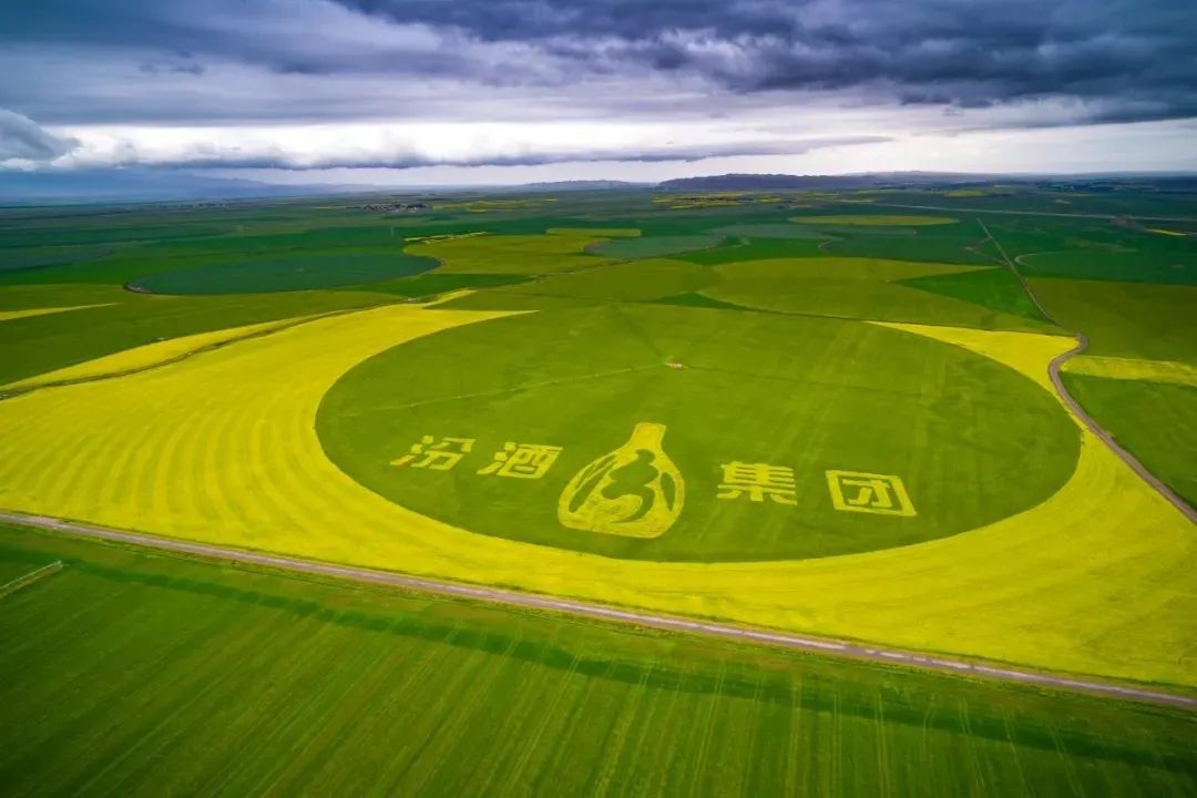 杏花村汾酒20年辉煌庆典,杏花村汾酒清香至尊2009