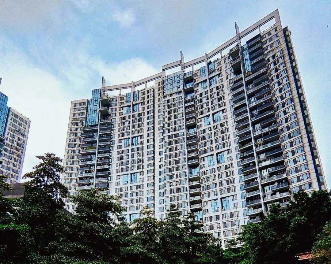 东风东：君汇世家保姆级选筹指南