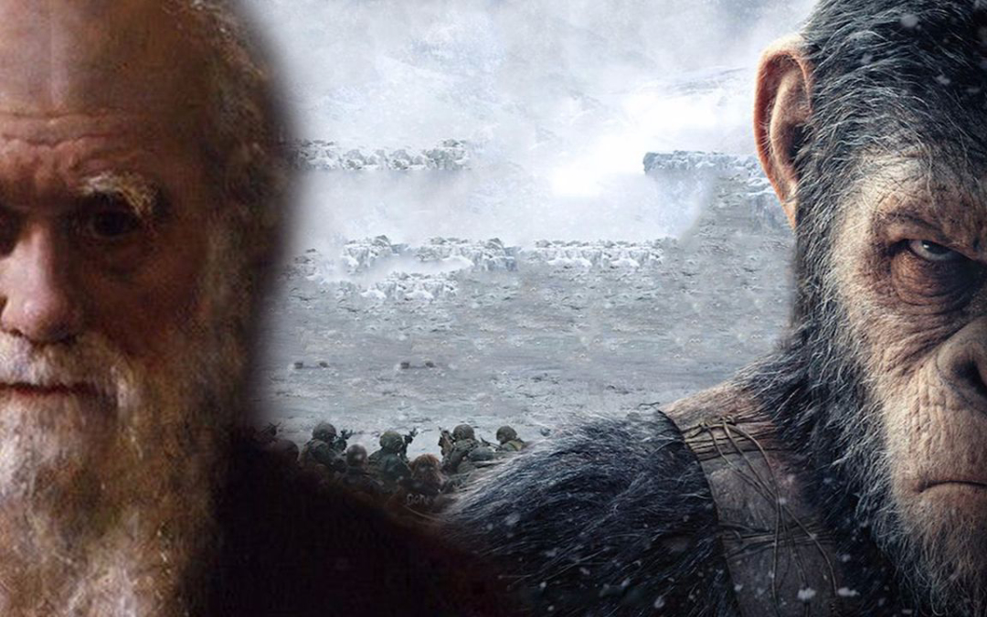 每一个人类都是由女性生的,那么世界上第一个女性,是从哪来的?