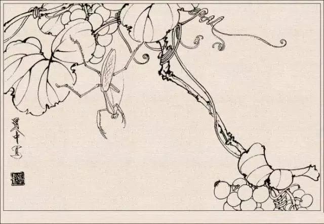 工笔草虫白描王道中,写意花鸟画草虫绘画过程分享