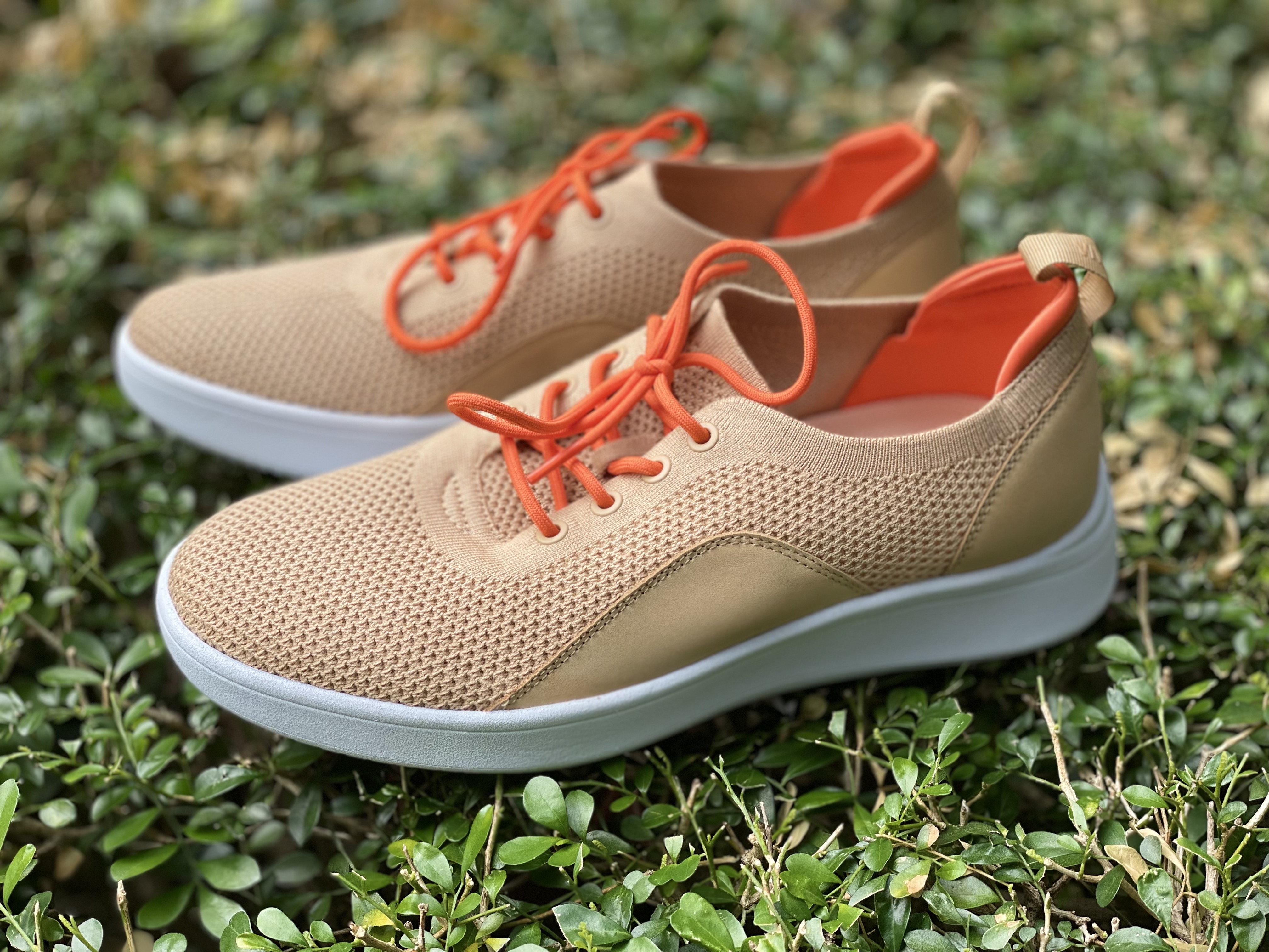 从洋品牌到国潮,从大牌到国货