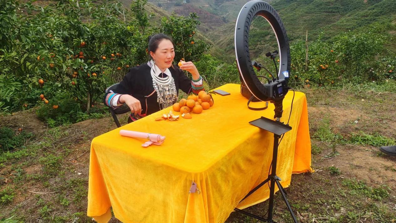 麻栗坡县电商示范县项目工作汇报2023年3月