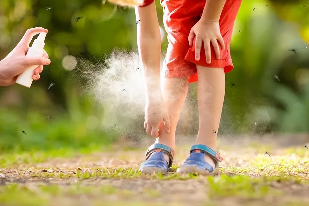 厨房有蚊子怎么消灭,水蚊子怎么快速消灭
