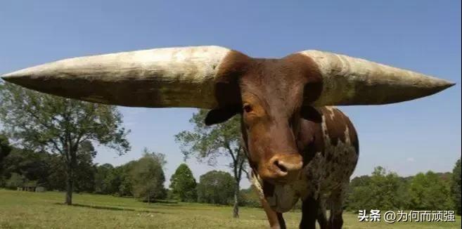 亲身经历:不愿上前线!此话隐含的“怨气”“戾气”来自哪里