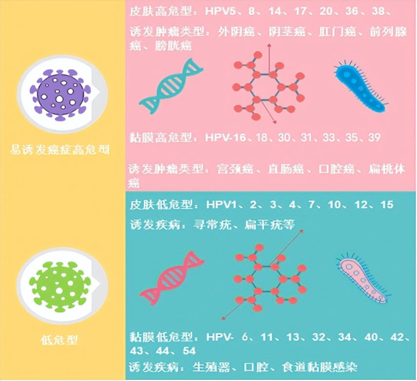 困惑，明明很注意，为什么还感染了HPV