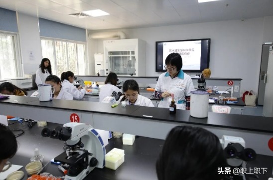 月薪4000以上的工作,月薪4000至5000的工作职业有哪些