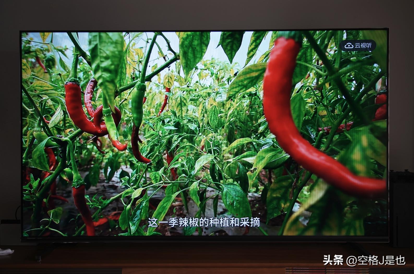 闭眼买的画质旗舰海信电视U7K深度测评