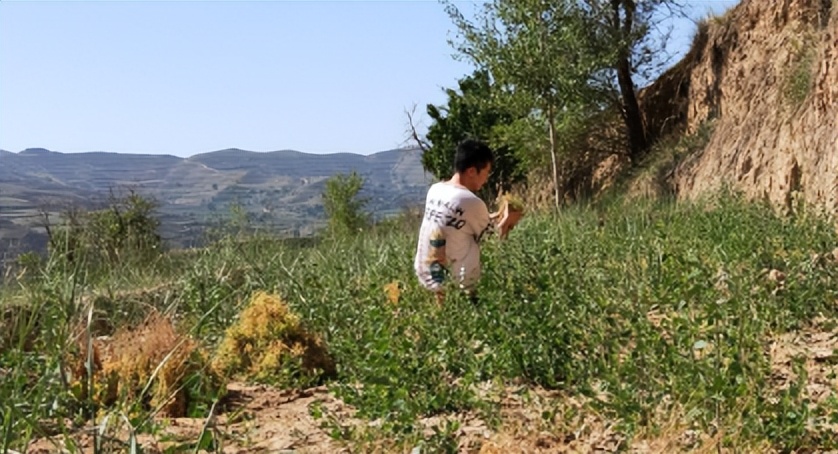 长安大学材料学院|走进边远乡村，感受乡村振兴