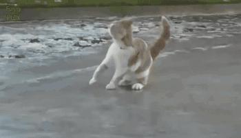 北京冰场游玩攻略,北京天然的冰场有哪些地方