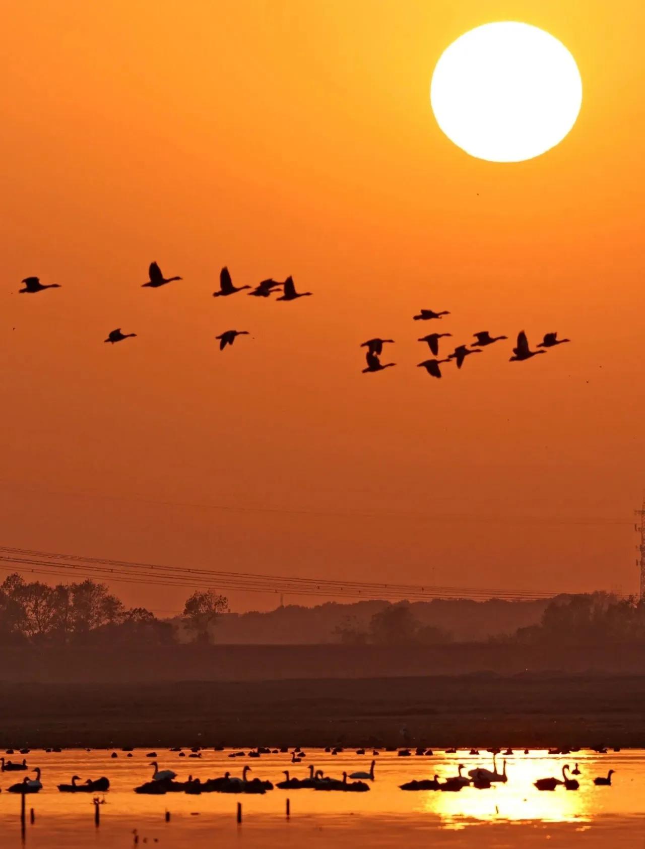 和大自然一起去旅行,和地理老师一起去旅行