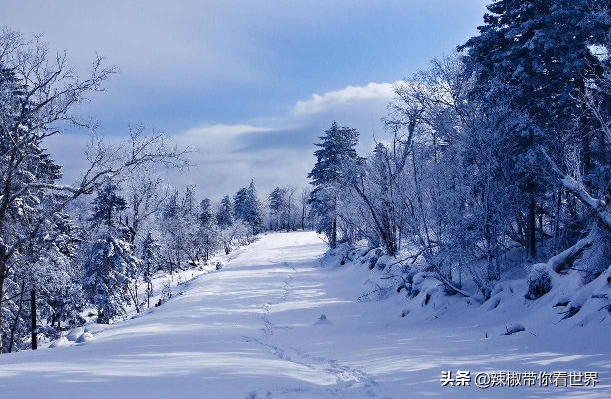 北国江城雾凇之都吉林,醉美江城吉林