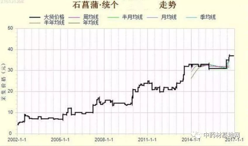 每天学习一味中药白矾,每天学习一味中药石菖蒲