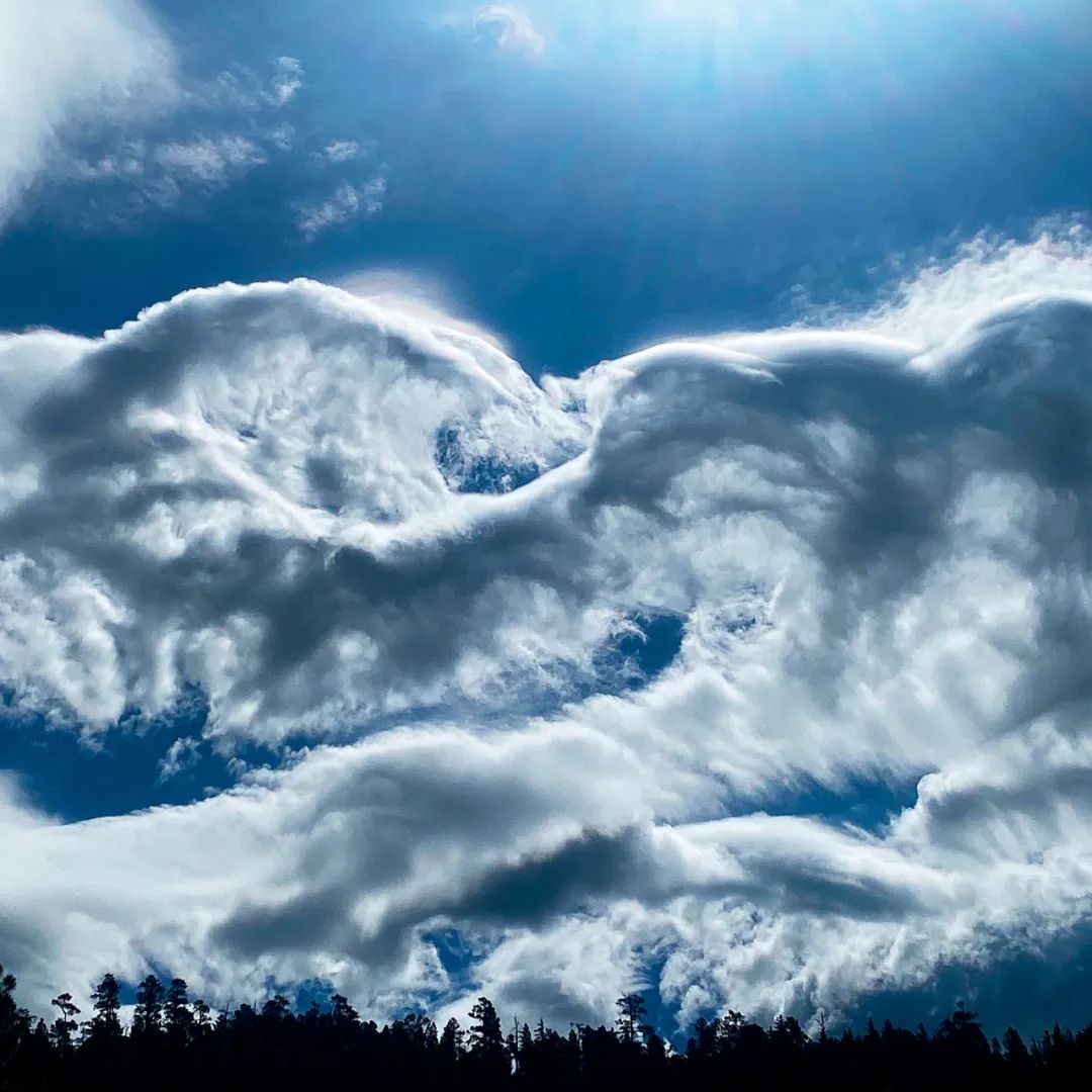 赏云协会官网中文版,赏云协会图片