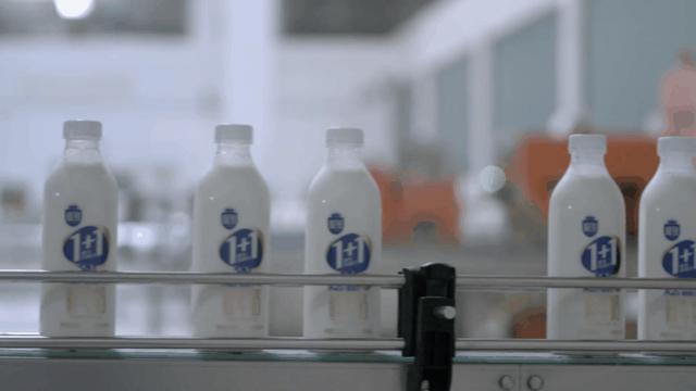 高端牛奶市场细分,市场上比较好的纯牛奶三元