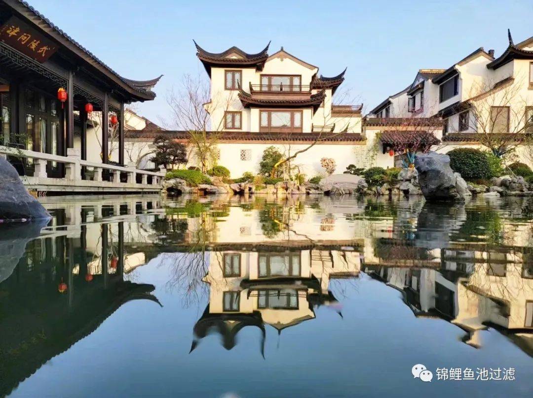 锦鲤鱼池下过滤池底粪便如何清除,锦鲤鱼池过滤仓用什么做盖子好