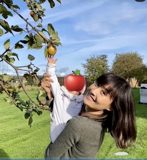 陈法拉谈张智霖事件,陈法拉与张智霖视频