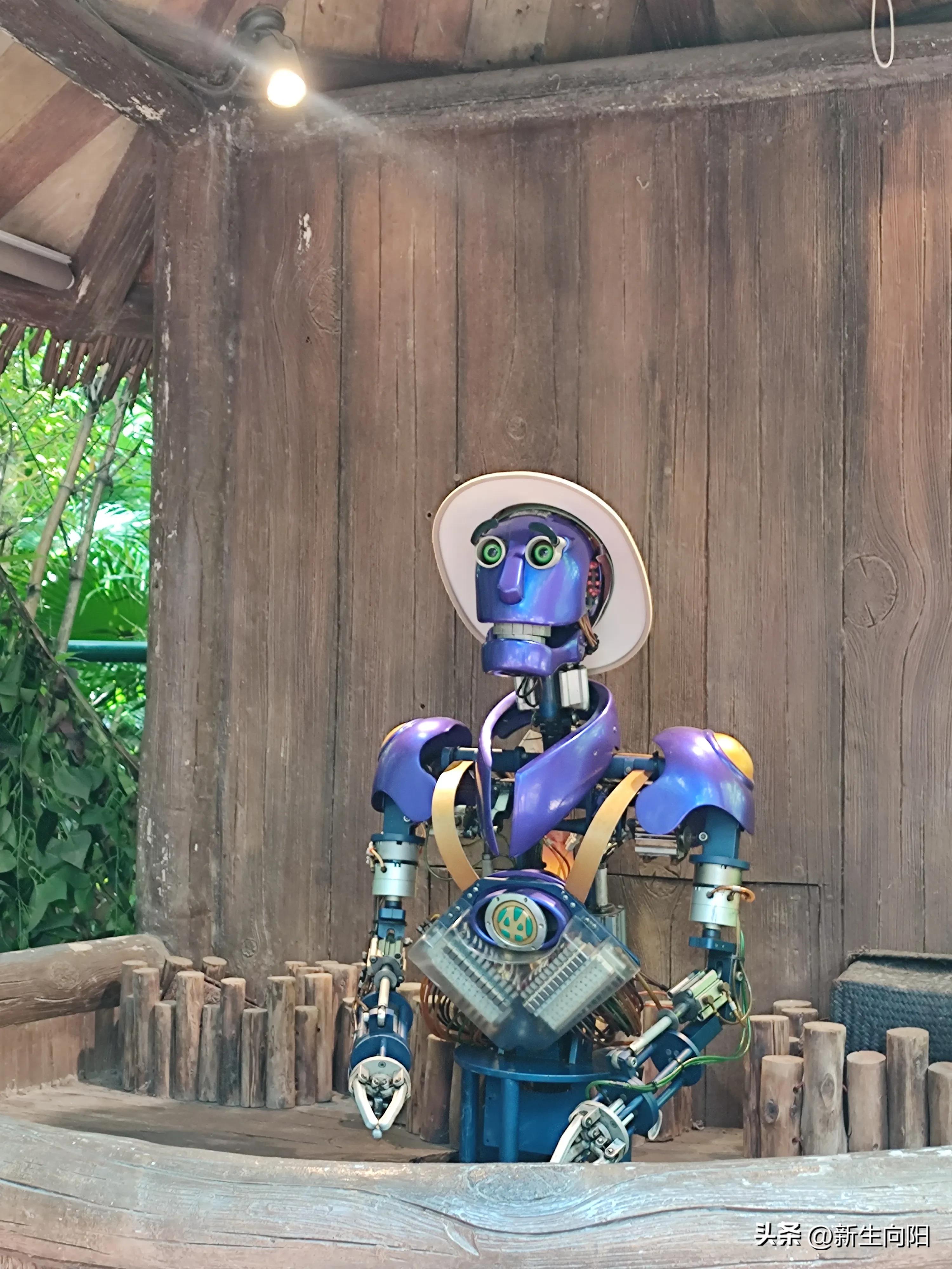 长隆野生动物园两大一小,长隆野生动物园一家三口