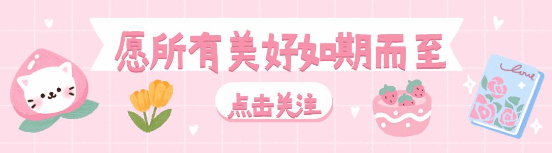 各个品种猫咪大概的价格,盘点各种猫咪的价格