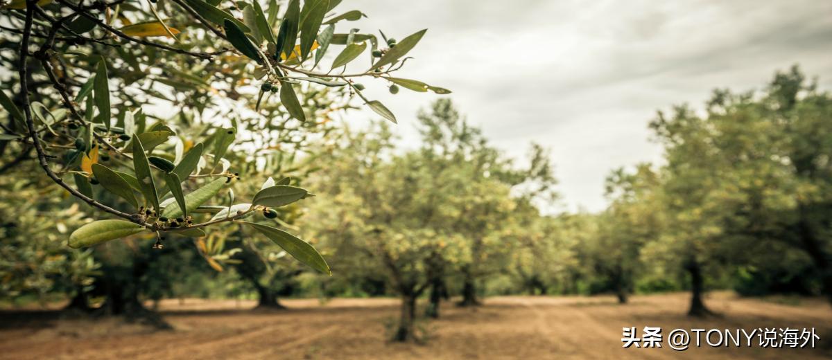 希腊房产投资移民的特点,希腊移民雅典房源