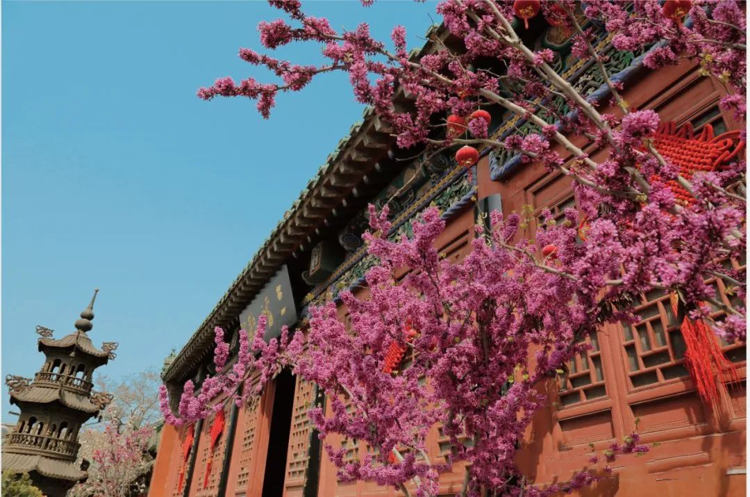 开封景区门票免票政策,开封旅游景点和门票优惠政策最新