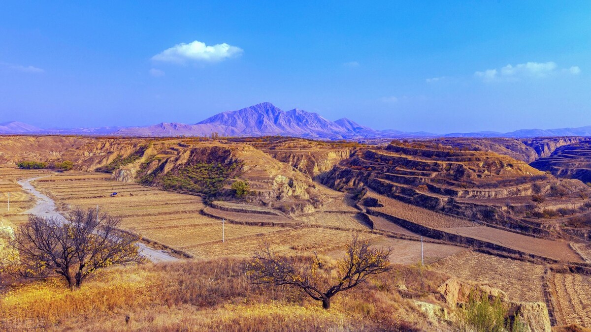 五谷杂粮创新食品,杂粮纯天然绿色食品