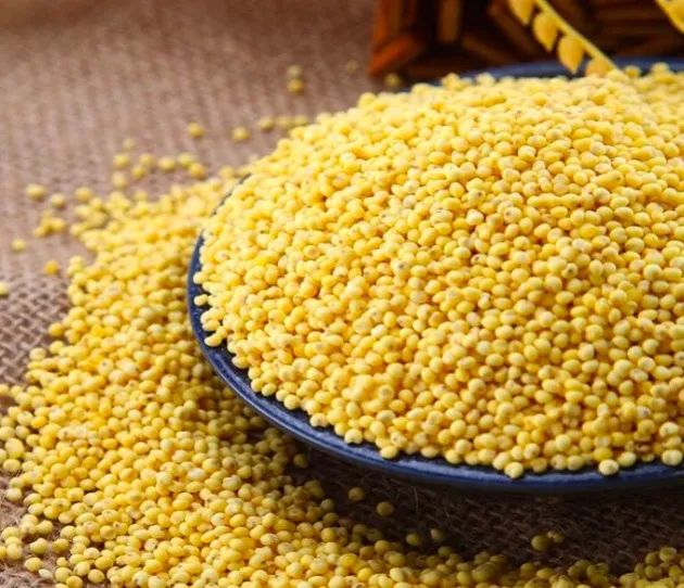 “世”说新语｜五谷丰登，粮安天下，中医药守健康