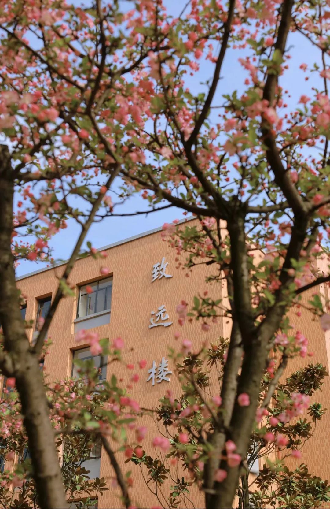 葵花宝典计算机二级考试,计算机二级考试全过程和技巧