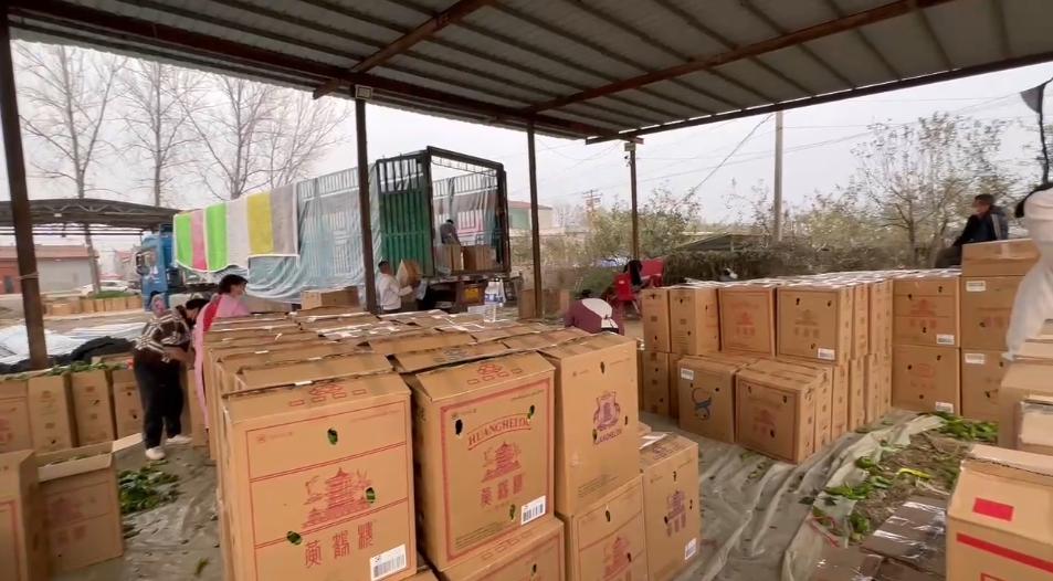 辣椒3块钱一斤挣钱吗,辣椒300元一斤