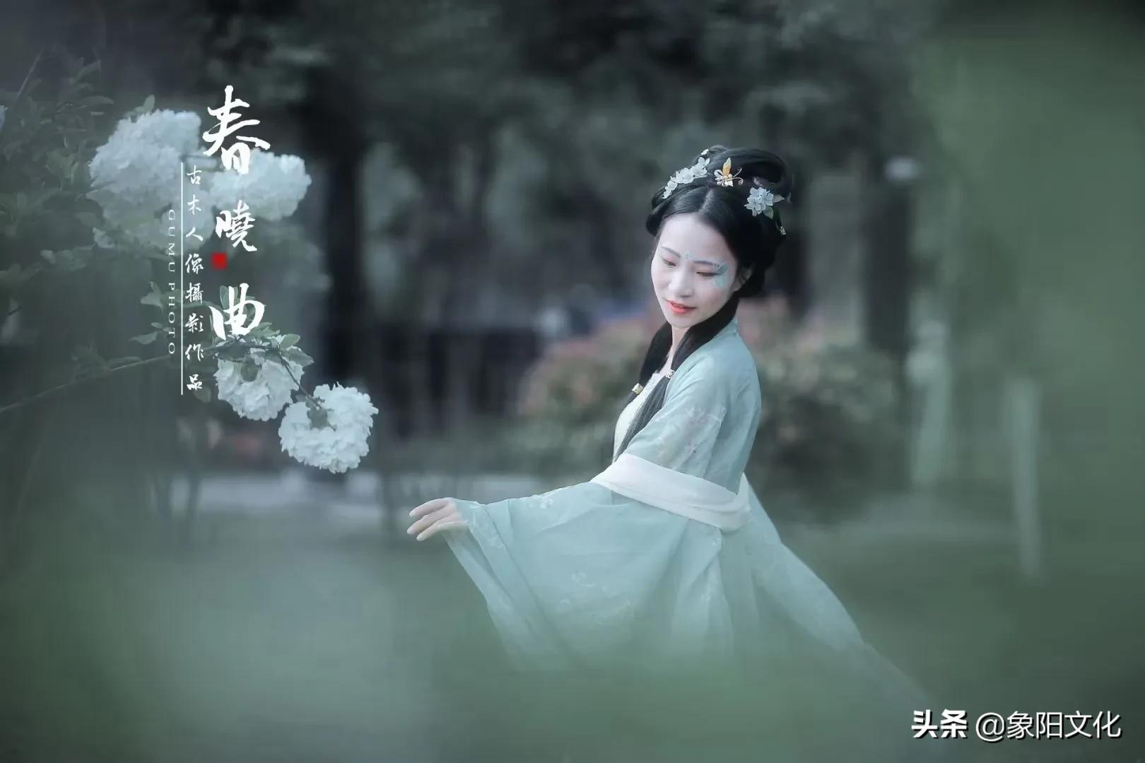 诗词摄影鉴赏,摄影古诗欣赏