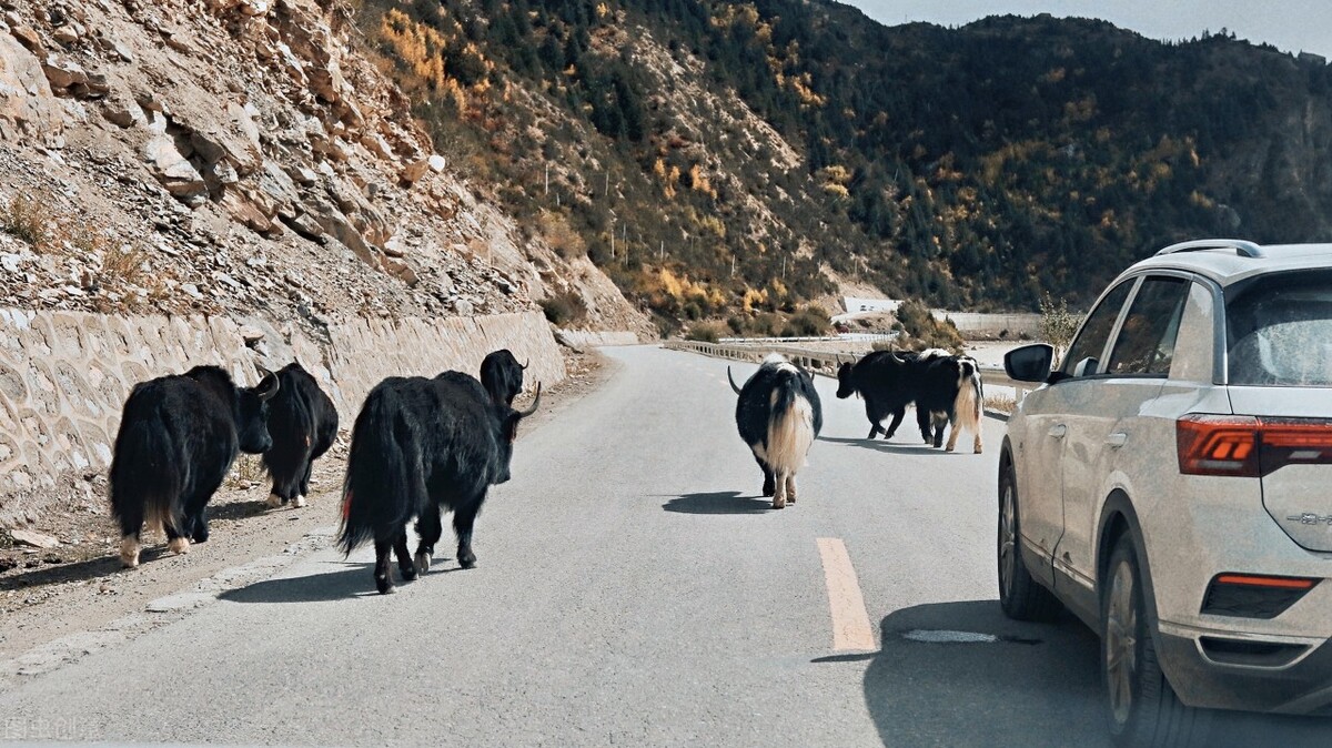 川藏线自驾游在成都住哪合适,自驾西藏川藏线住哪些地方