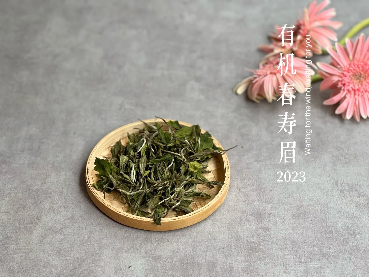白茶鉴茶全套视频教程,白茶鉴茶教学视频