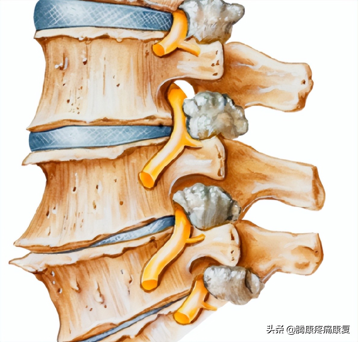 三秒改善脖子酸痛大法,缓解脖子不适的6个动作上集