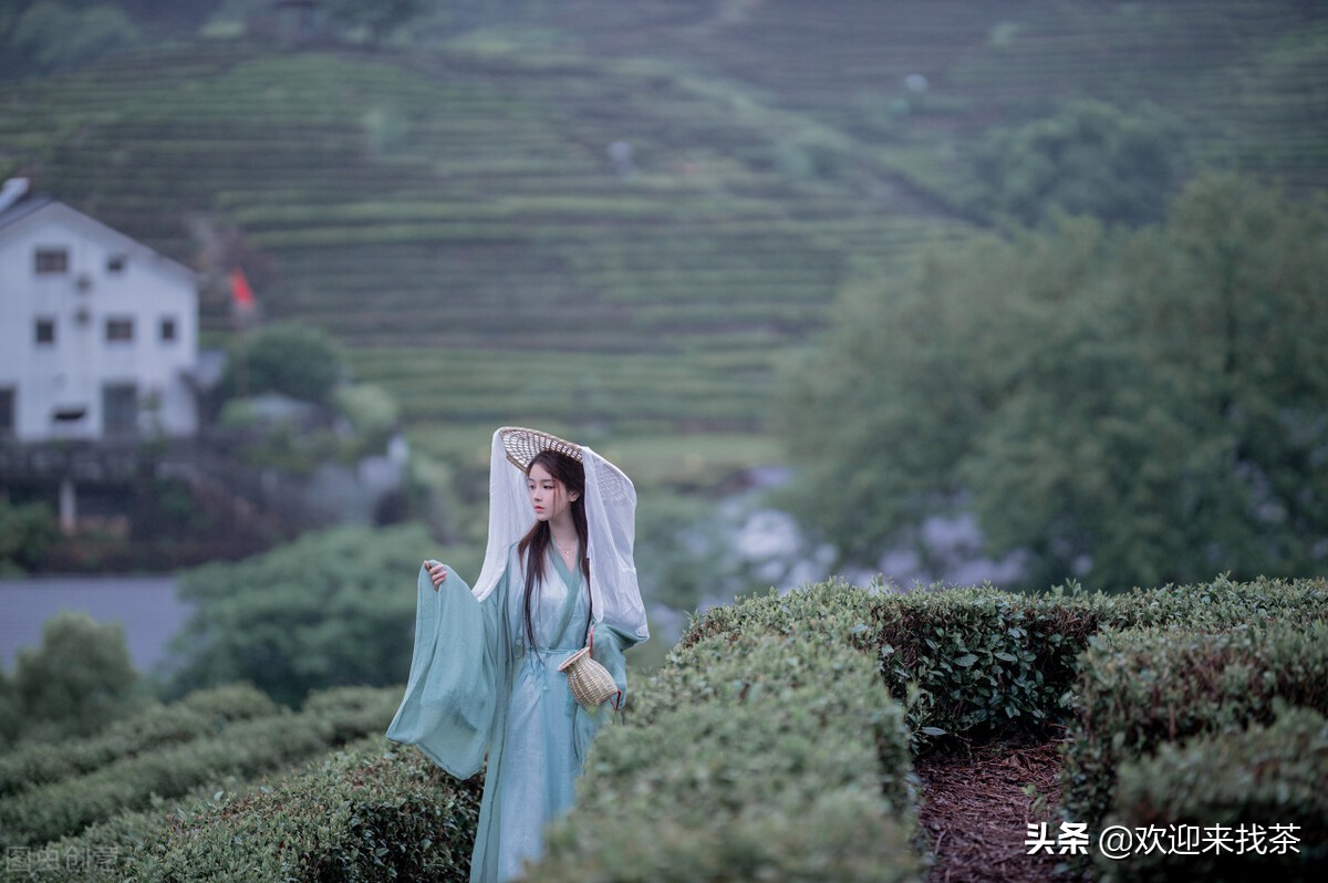 网上买茶真的靠谱吗,大家网上买茶遇到最糟心的事情