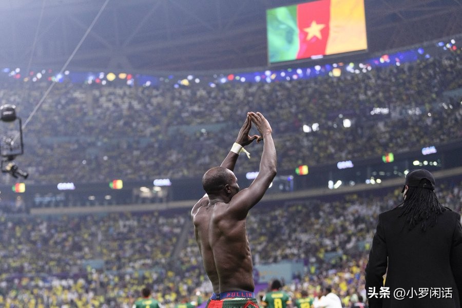 世界杯32支球队全家福,世界杯集锦24