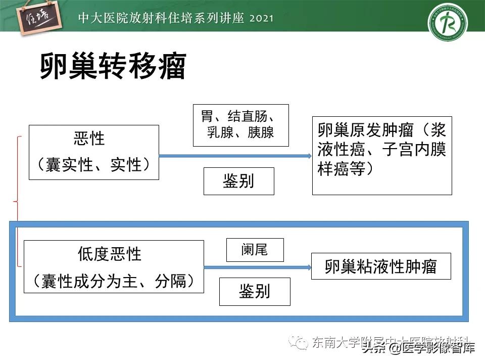 卵巢浆液性肿瘤的肉眼及镜下特征,卵巢原发性粘液性囊腺瘤