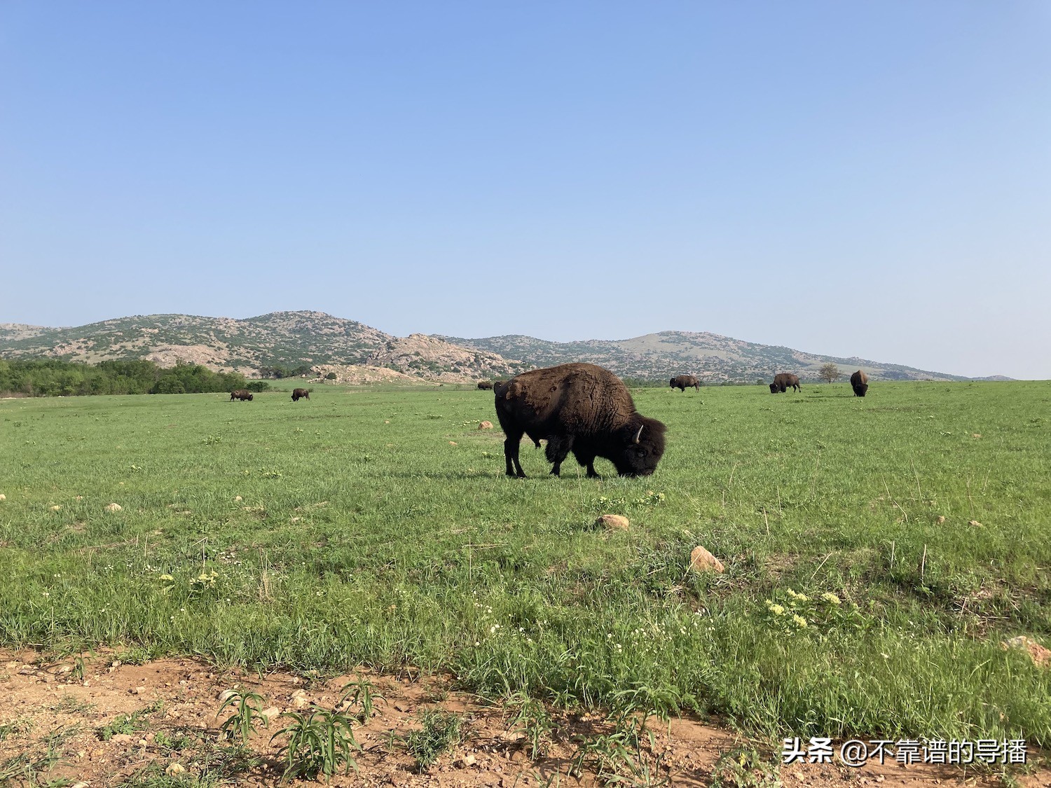 苹果手机摄影风景视频技巧,iphone手机拍摄风景技巧