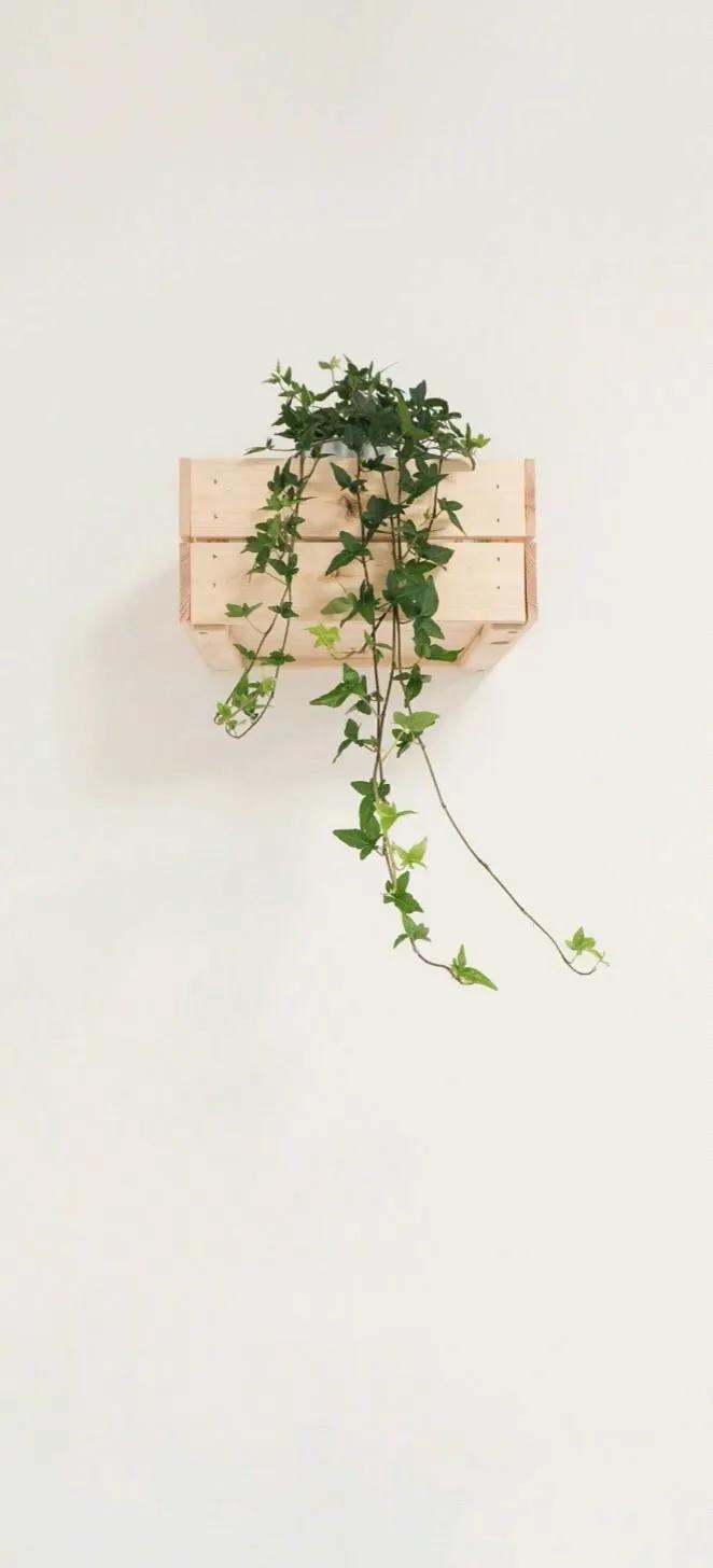 手机壁纸大全超好看动态,壁纸超清4k手机壁纸男生专用