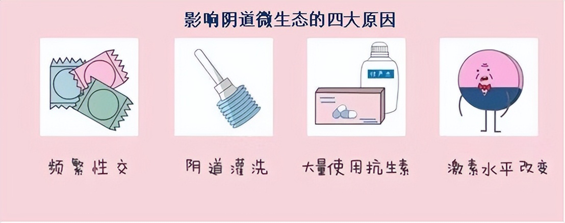 掌健识健康百科,感染hpv怎样才能强身健体