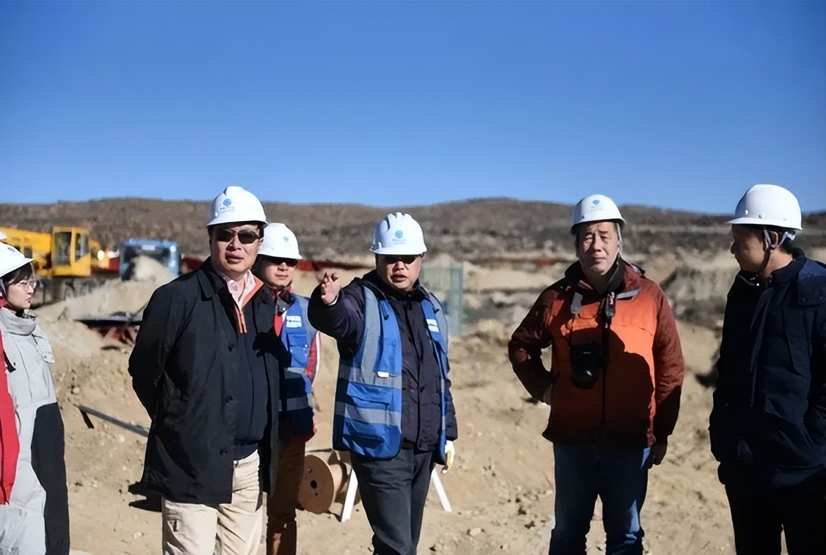 高山上的猎人,高山上的鸟类