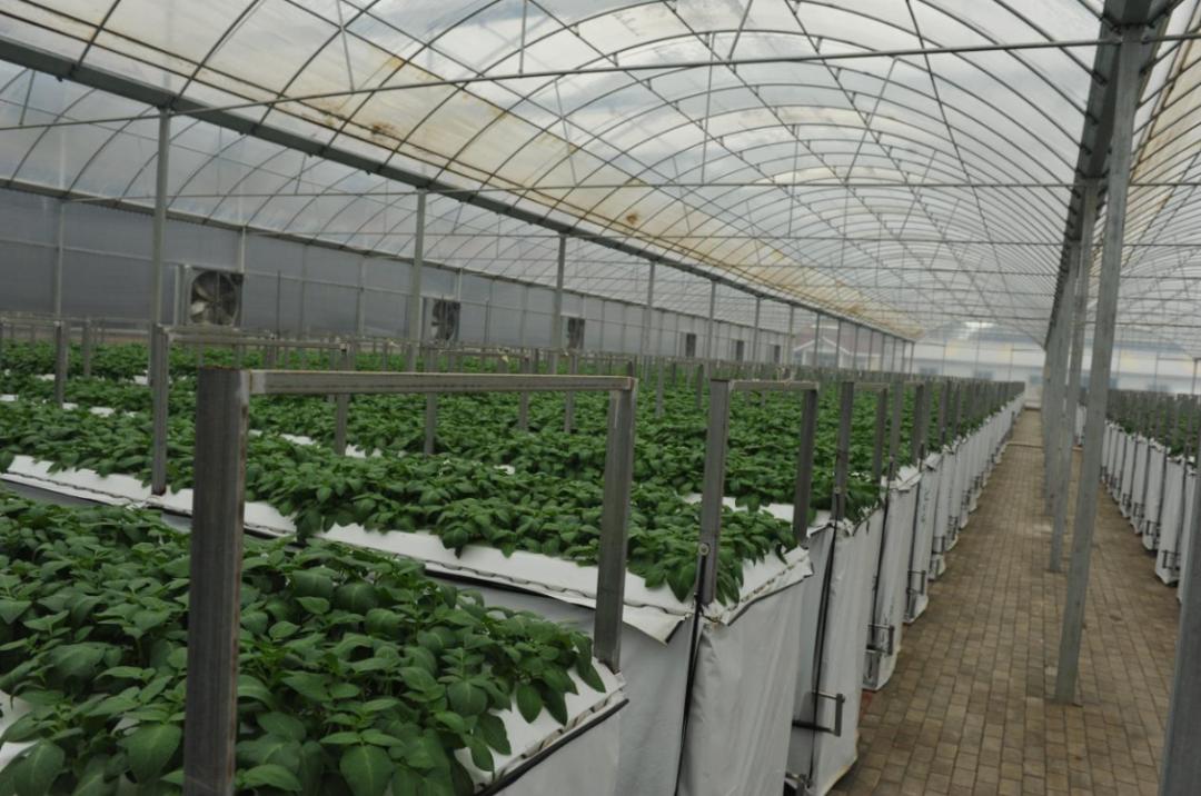 国网安定区供电公司,国网甘肃省电力公司定西