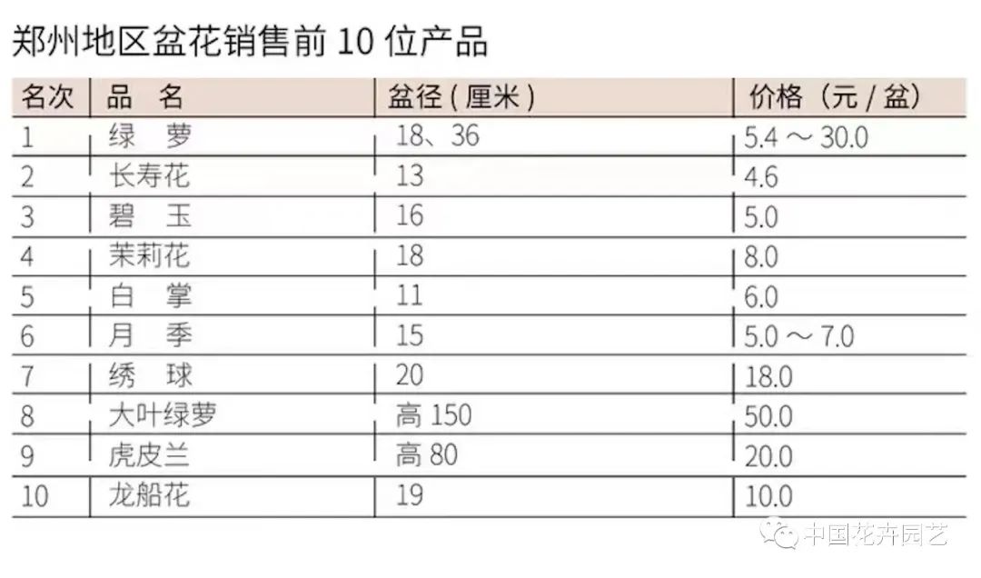 盆花批发市场价格,花卉市场盆花价格多少