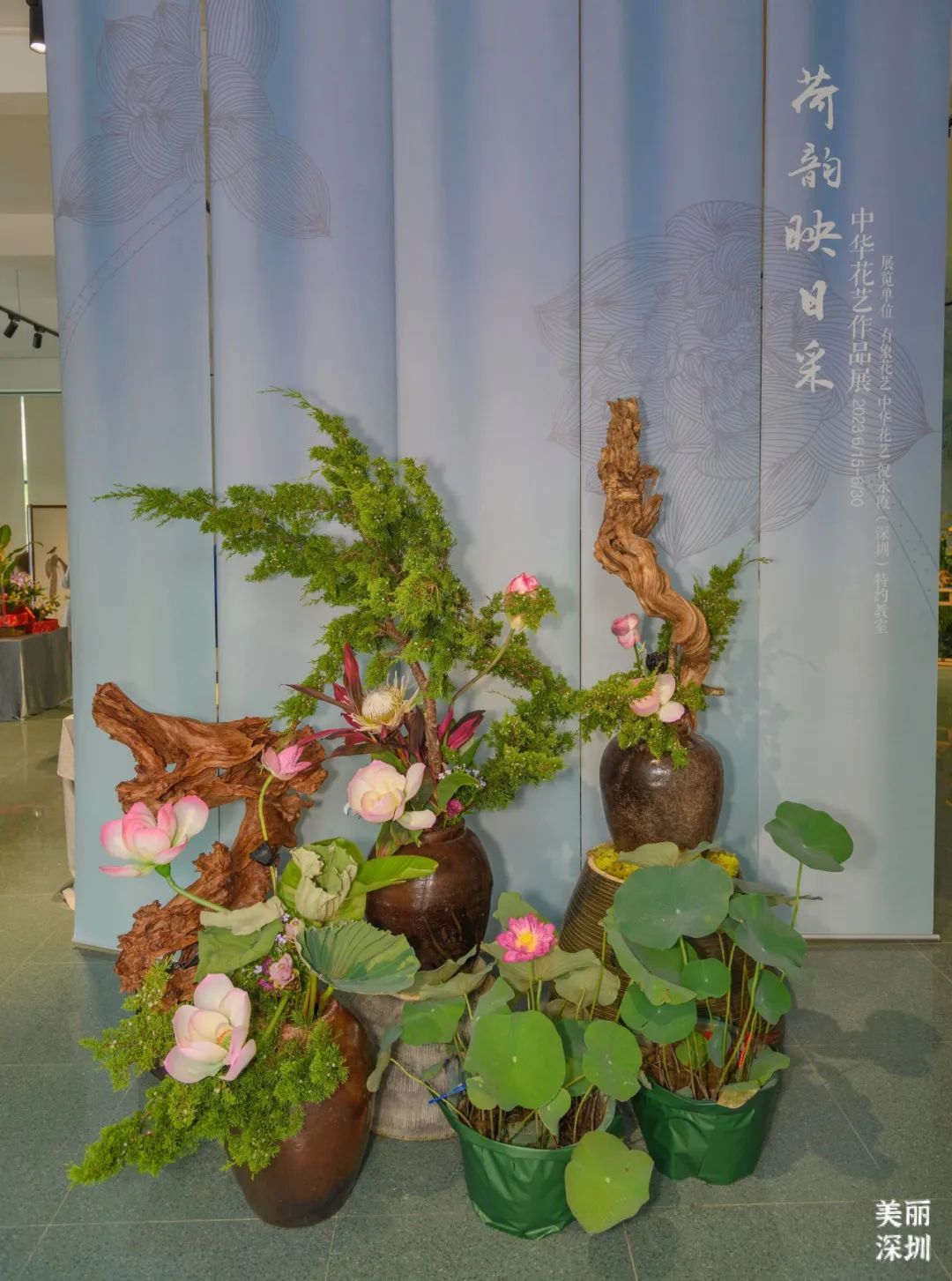 深圳人游玩推荐,深圳人爬山看海